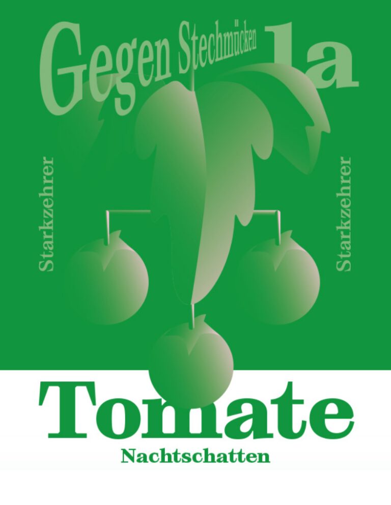 Tomato Illustration Detail